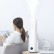 Ультразвуковой увлажнитель воздуха Xiaomi Deerma White (DEM-LD220)
