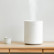 Увлажнитель воздуха Xiaomi Smartmi Air Humidifier White (JSQ01ZM)