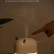 Увлажнитель воздуха Xiaomi Sothing Deer Humidifier&Light White (DSHJ-H-009)