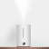 Увлажнитель воздуха Xiaomi Deerma Air Humidifier 5L (DEM-F628A)