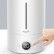 Увлажнитель воздуха Xiaomi Deerma Air Humidifier 5L (DEM-F628A)