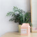 Портативный увлажнитель воздуха Xiaomi Bcase MilkBox