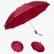Зонт Xiaomi Zuodu Automatic Umbrella LED Red