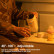 Электрический термос Xiaomi Daewoo Portable Electric Kettle White (D2)