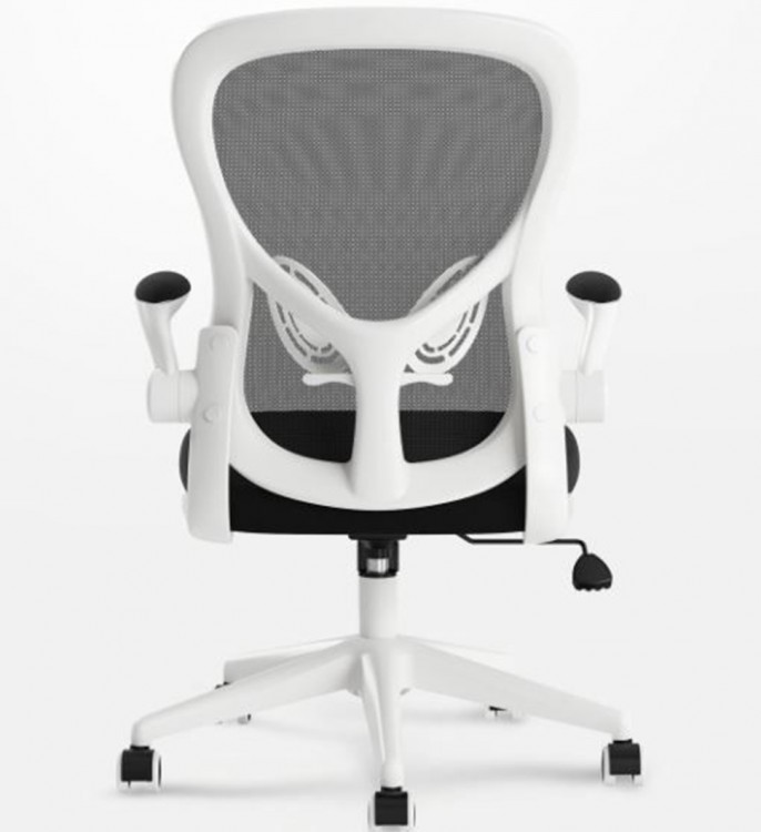 Компьютерное кресло Xiaomi HBADA Ergonomic Double Waist Chair White (HDNY163WM)