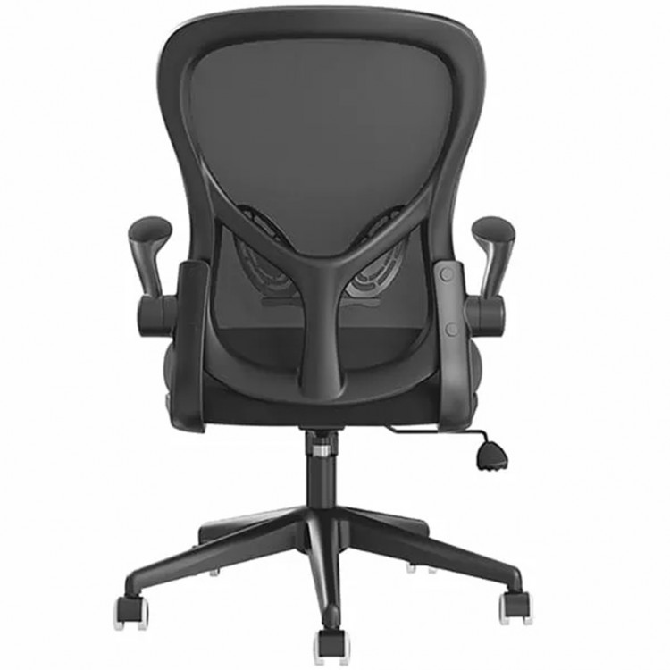 Компьютерное кресло Xiaomi HBADA Ergonomic Double Waist Chair Black (HDNY163WM)