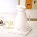 Термос Xiaomi Tomic Carved Glass Liner Insulation Pot 1L