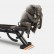 Спортивная скамья Xiaomi Fed Home Multifunctional Fitness Dumbbell Bench Black (FED-0228)