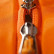 Рюкзак Xiaomi Early Wind HC Orange (HW110101)